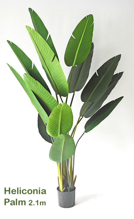 Articial Plants - Heliconia Palms- 2.1m