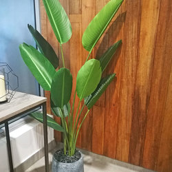 Heliconia Palms- 1.5m - artificial plants, flowers & trees - image 1