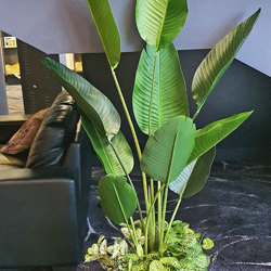Heliconia Palms- 1.2m - artificial plants, flowers & trees - image 2