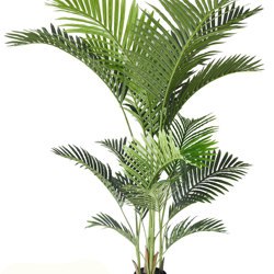 Kentia Palms 1.7m - artificial plants, flowers & trees - image 8
