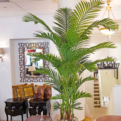 Kentia Palms 2m - artificial plants, flowers & trees - image 6
