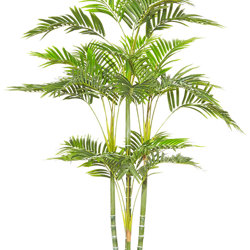 Mini-Cane Palm 1.5m - artificial plants, flowers & trees - image 5