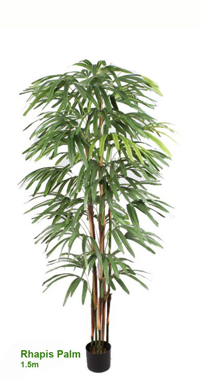 Articial Plants - Rhapis Palms 1.5m