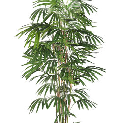 Rhapis Palms 1.8m - artificial plants, flowers & trees - image 10