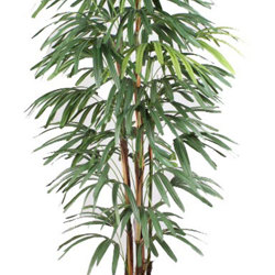Rhapis Palms 1.5m - artificial plants, flowers & trees - image 10
