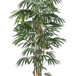 Rhapis Palms 1.8m - artificial plants, flowers & trees - image 9