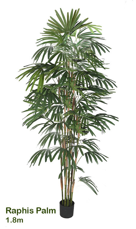 Articial Plants - Rhapis Palms 2.1m