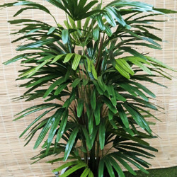 Rhapis Palms 1.2m - artificial plants, flowers & trees - image 3