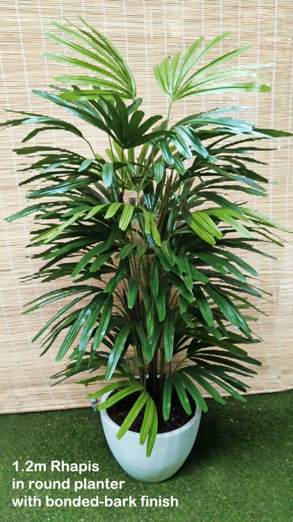 Articial Plants - Rhapis Palms 1.2m