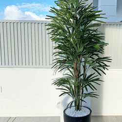 Rhapis Palms 1.3m - artificial plants, flowers & trees - image 6
