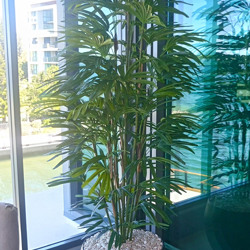 Rhapis Palms 1.5m - artificial plants, flowers & trees - image 4