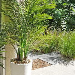 Alexander Palm 1.2m UV-treated sml - artificial plants, flowers & trees - image 6