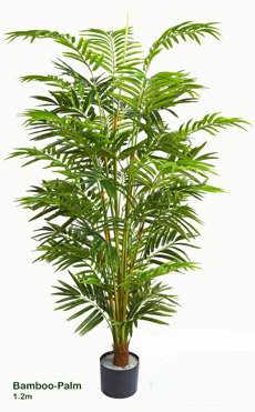 Bamboo-Palm 1.2m