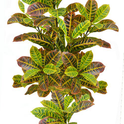 Croton 1.5m - artificial plants, flowers & trees - image 10