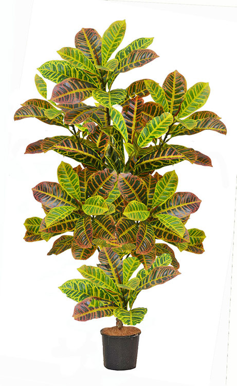 Articial Plants - Croton 1.5m