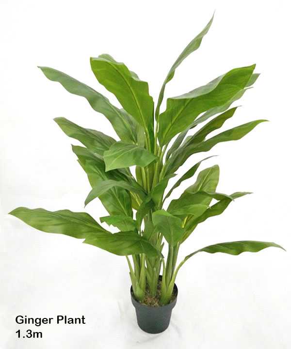 Ginger Plant 1.3m Artificial Trees Interior Gardens