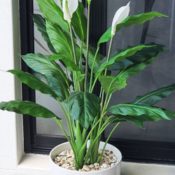 Madonna Lily- 1m x3 flowers - artificial plants, flowers & trees - image 1