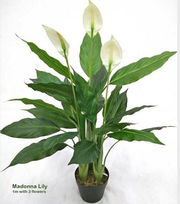 Articial Plants - Madonna Lily- 1m x3 flowers