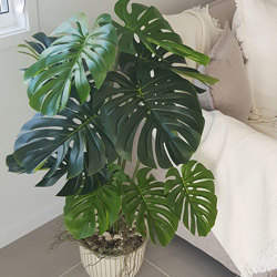 Monsterio 'giant leaf' 1.45m delux - artificial plants, flowers & trees - image 4
