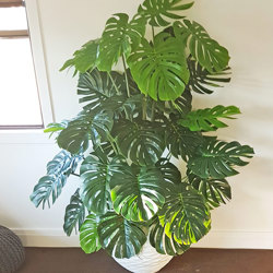 Monsterio 'giant leaf' 1.45m delux - artificial plants, flowers & trees - image 5