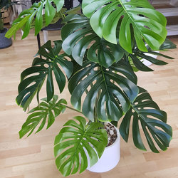 Monsterio 'giant leaf' 1.4m - artificial plants, flowers & trees - image 1
