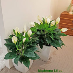 Madonna Lily- 80cm Delux x 6 flowers - artificial plants, flowers & trees - image 1