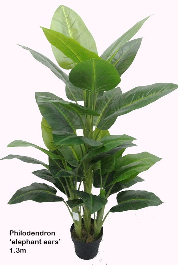 Philodendron 'elephant-ears' 1.3m | Larger Artificial Trees