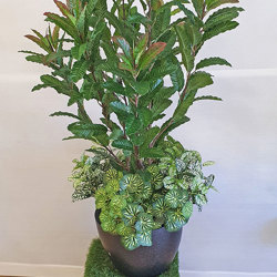 Coffee Plant 1.2m - artificial plants, flowers & trees - image 2