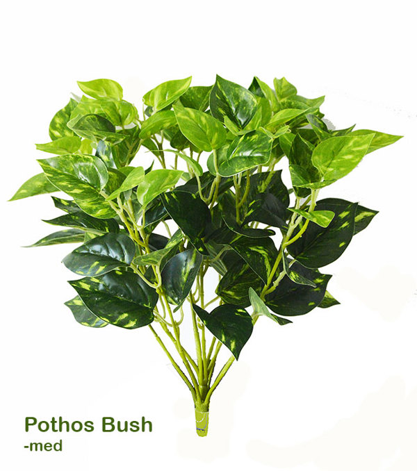 Articial Plants - Medium Bush- Pothos