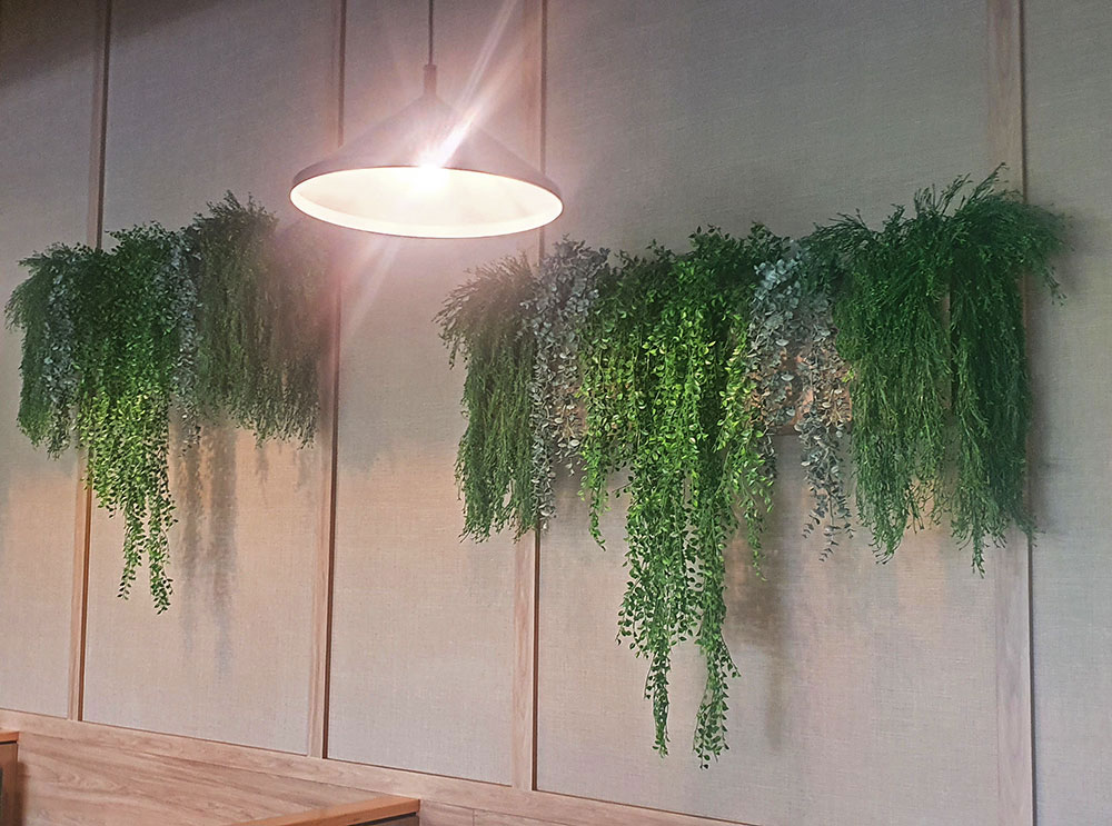 UV-Trailer: Trailing Succulent Fern 70cm 