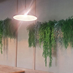 UV-Trailer: Trailing Succulent Fern 70cm  - artificial plants, flowers & trees - image 1