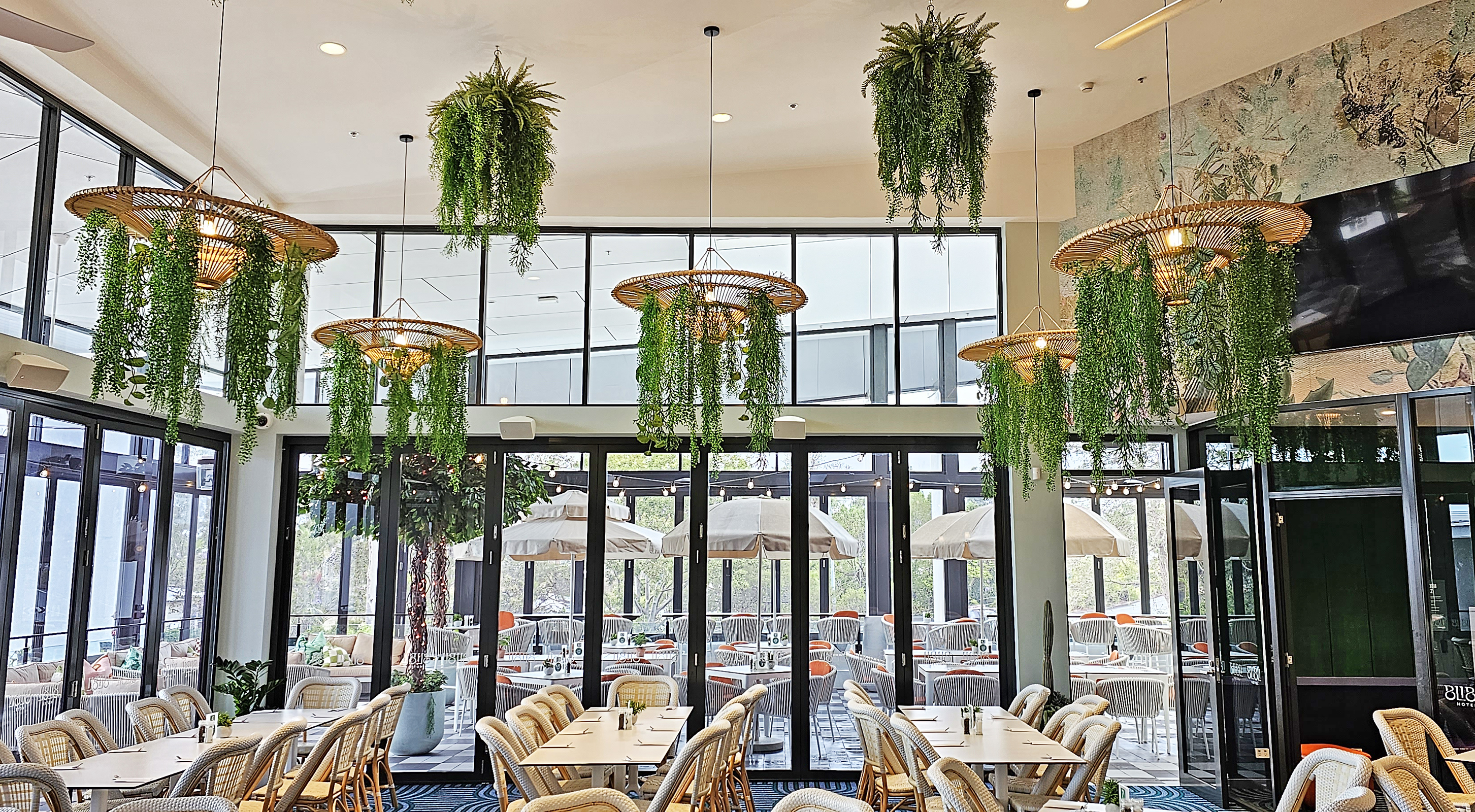 UV-Trailer: 'Silver Falls' Fern 120cm