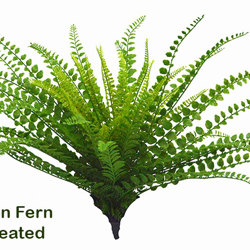 Button Fern UV-treated - artificial plants, flowers & trees - image 4