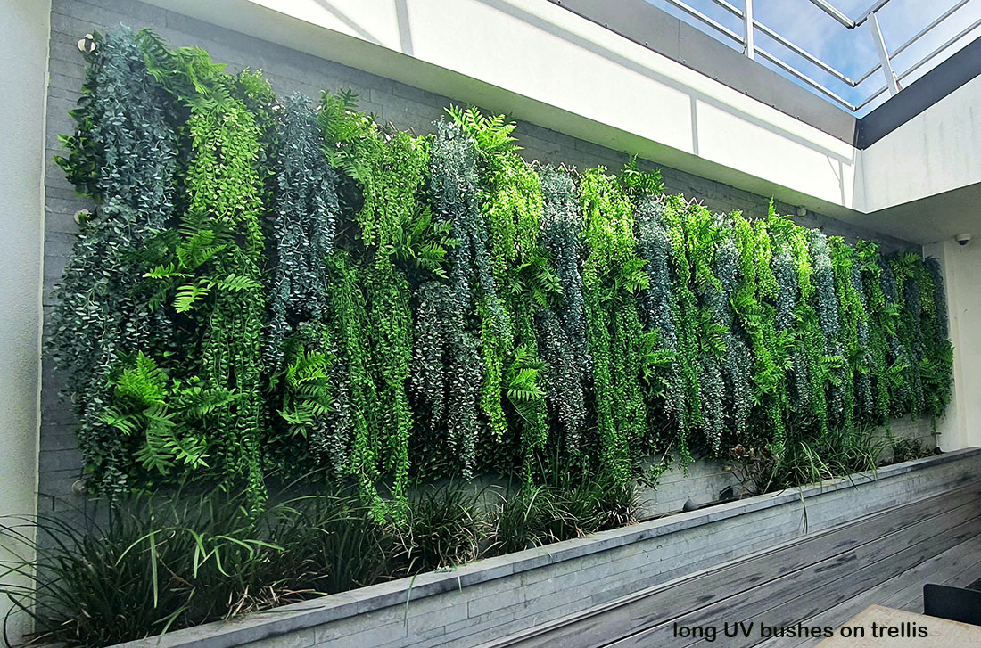 UV-Trailer: Staghorn Fern 120cm