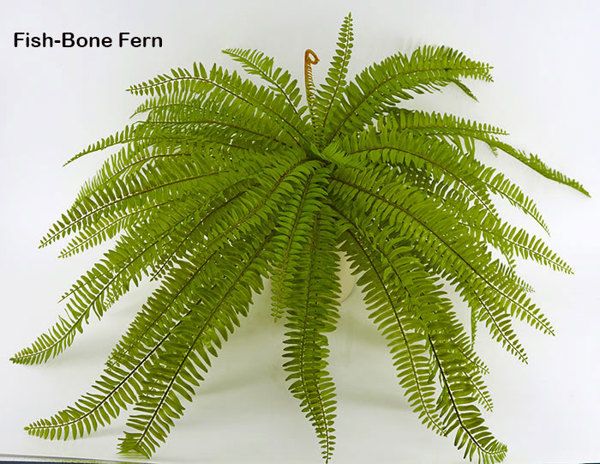 Articial Plants - Fishbone Ferns unpotted [large]