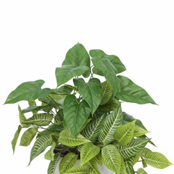 Greenery Bowls- Anthurium & Zebra mix - artificial plants, flowers & trees - image 2