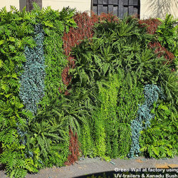 UV-Trailer: Coral Fern 70cm x 12 pce - artificial plants, flowers & trees - image 7