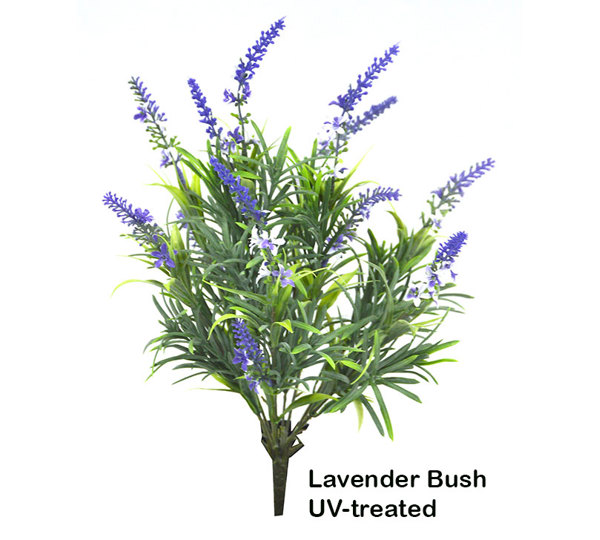 Lavender Bush UV-treated