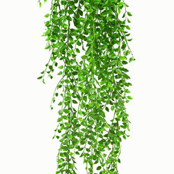 UV-Trailer: Ruscus Fern 120cm - artificial plants, flowers & trees - image 10