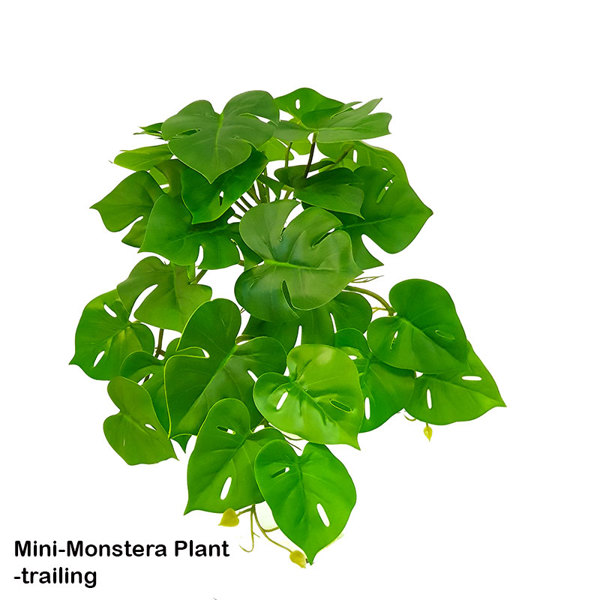 Articial Plants - Mini-Monstera Plant- trailing