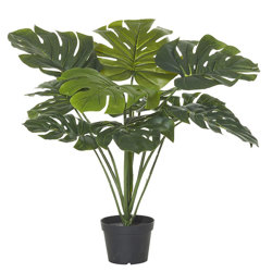Monsterio Plant 60cm x 8 lvs - artificial plants, flowers & trees - image 3