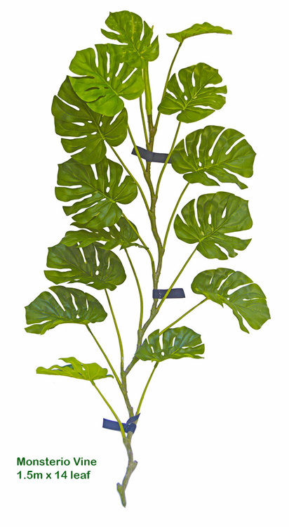 Articial Plants - Trailing Vine- Monsterio