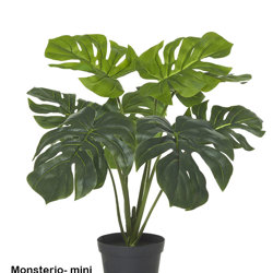 Monsterio Plant 60cm x 8 lvs - artificial plants, flowers & trees - image 4