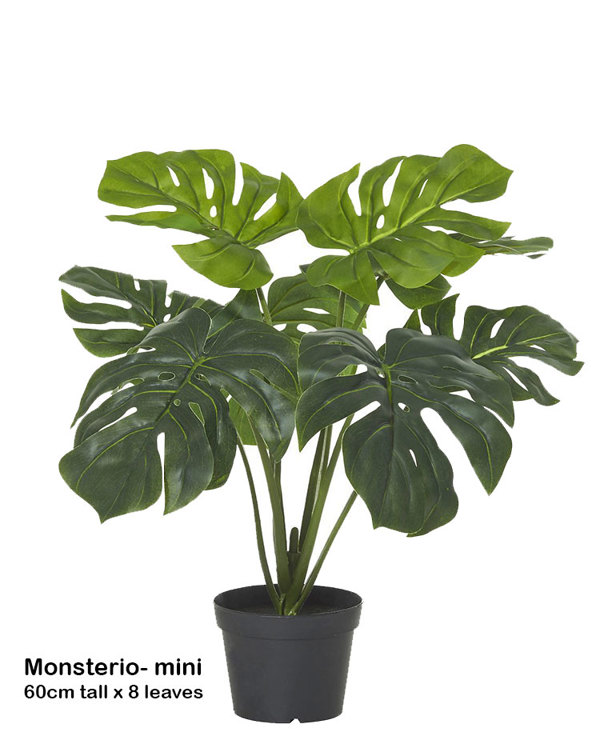 Articial Plants - Monsterio Plant 60cm x 8 lvs