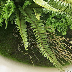 Boston Fern UV-treated - artificial plants, flowers & trees - image 1