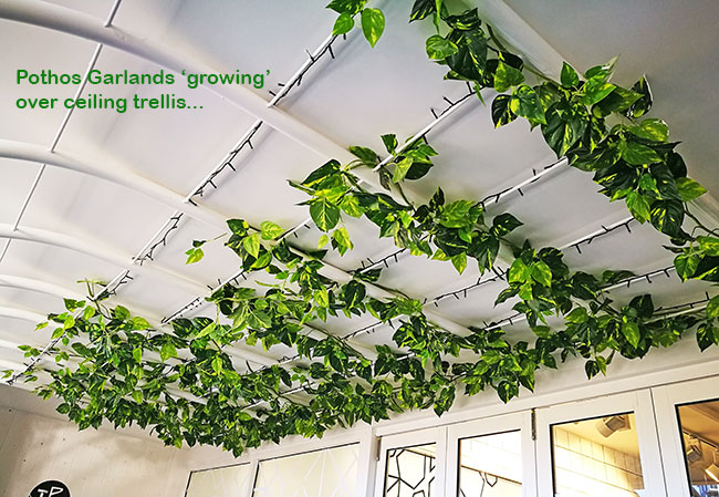 Trailing Vines - 1.8m Geranium Garland