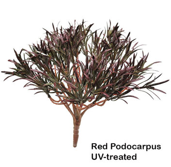 Podocarpus Bush- Burgundy [UV-treated]