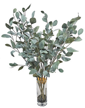 Leaf Sprays- Silver Gums