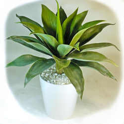 Agaves [unpotted] - Small - artificial plants, flowers & trees - image 1
