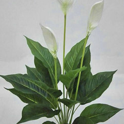 Madonna Lily- 80cm Delux x 6 flowers - artificial plants, flowers & trees - image 2